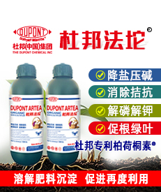 �Ű�������Ƽ����޹�˾��