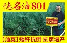 �Ĵ������N�I���޹�˾