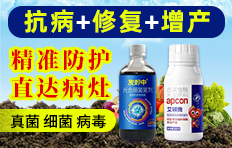 ���ϰ������ﱣ�o���޹�˾