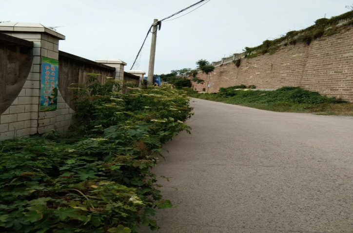 除草刷墻灑汗水，苗圃外貌換新顏