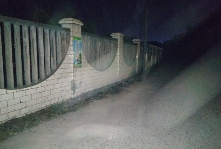 除草刷墻灑汗水，苗圃外貌換新顏