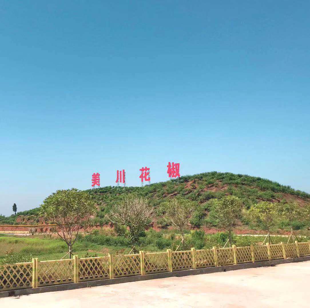 村企共創(chuàng)，建美麗宜居鄉(xiāng)村