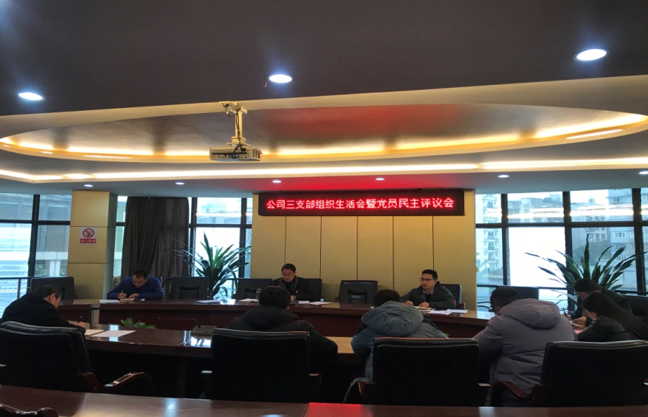 公司三支部召開組織生活會(huì)暨黨員民主評議會(huì)