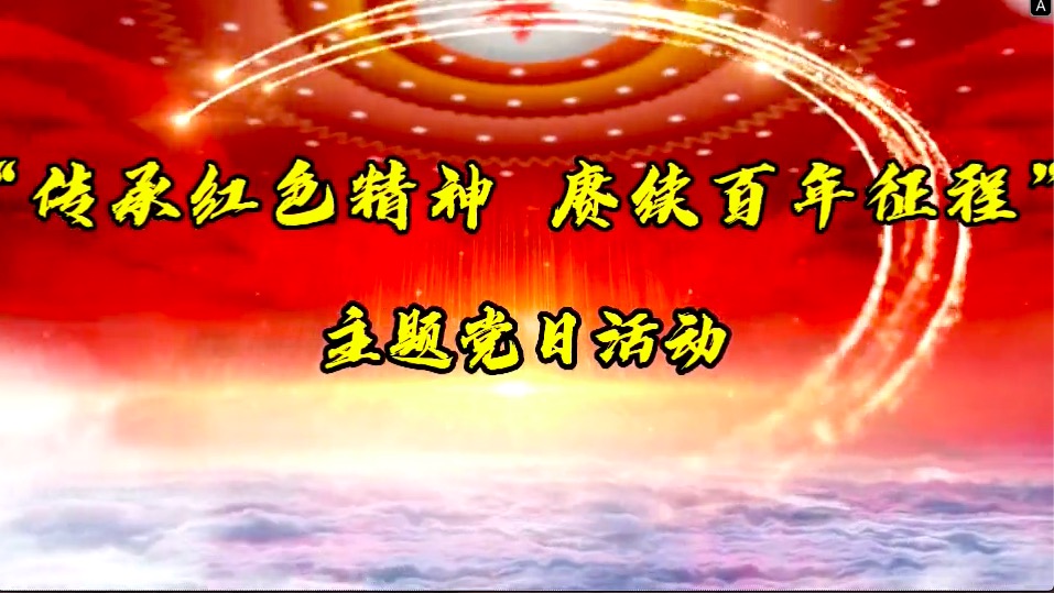 傳承紅色精神，賡續(xù)百年征程-共產黨員服務大隊主題黨日活動